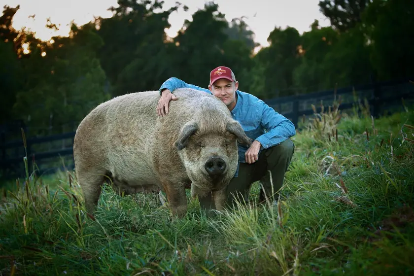 Un homme souriant pose à côté d'un cochon dans un champ verdoyant au coucher du soleil.